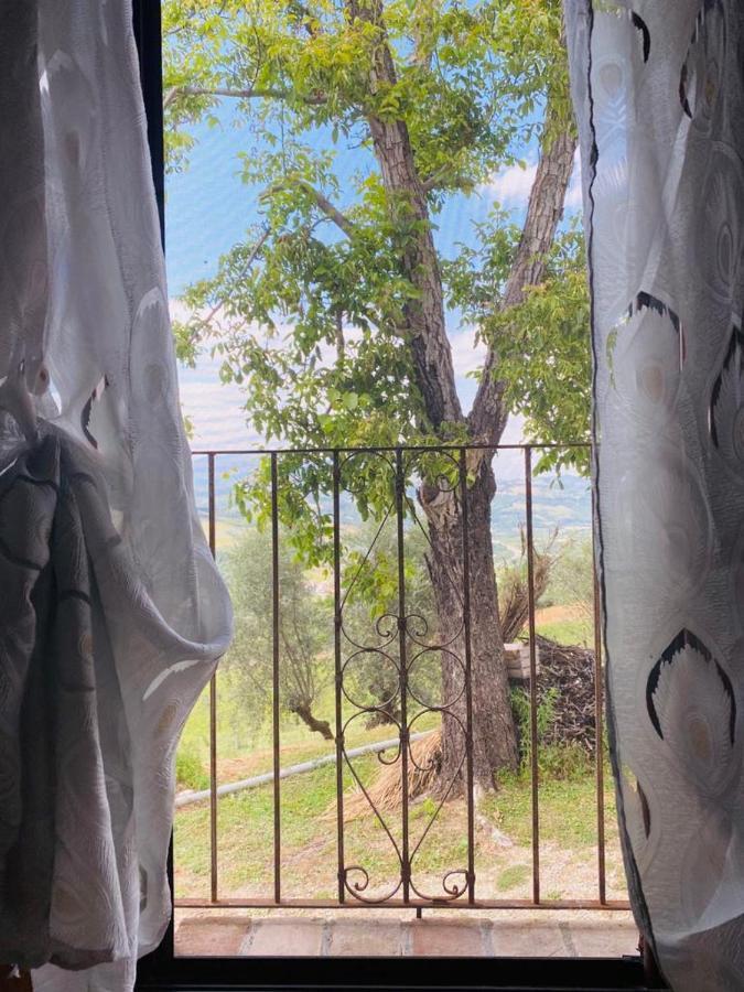 Agriturismo Flara Basciano Dış mekan fotoğraf
