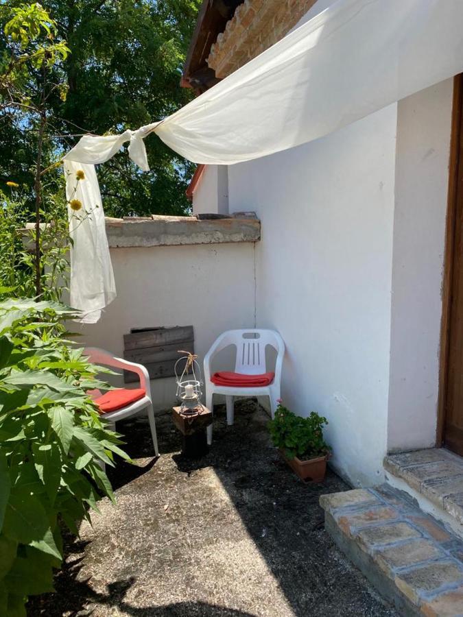 Agriturismo Flara Basciano Dış mekan fotoğraf